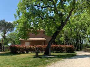 Casina Miriano Castiglione Del Lago